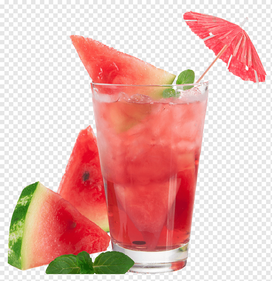 Watermelon Mojito
