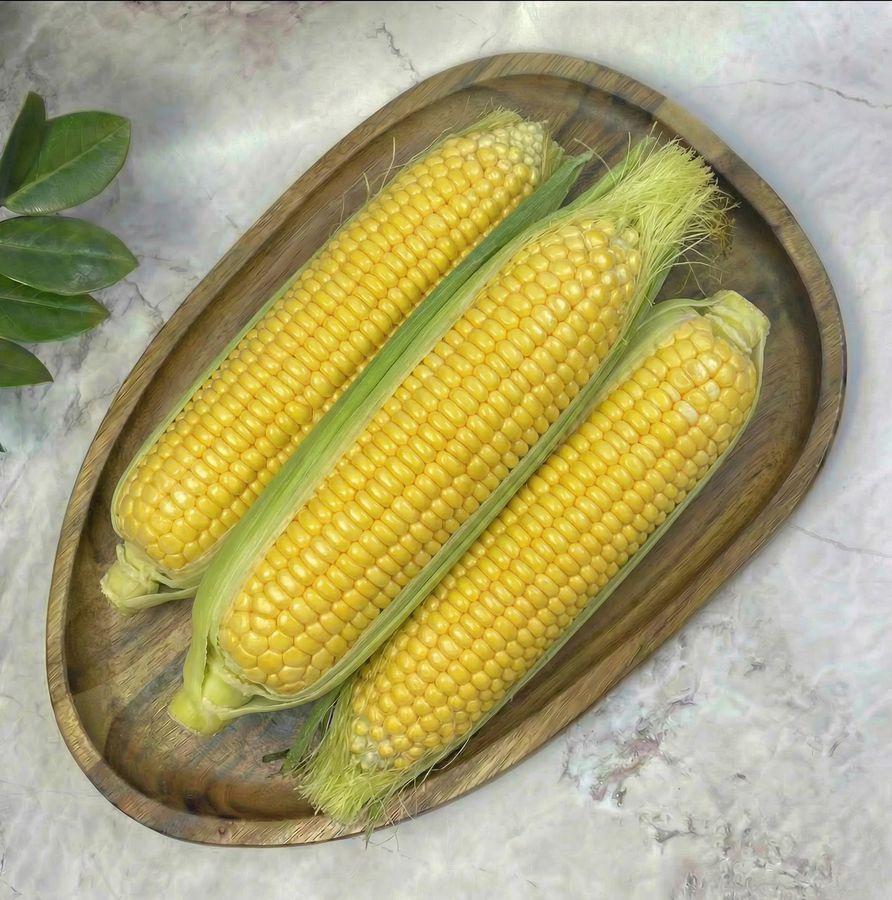 Sweet Corn