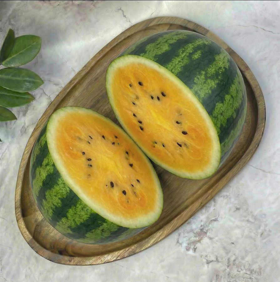 Watermelon Yellow
